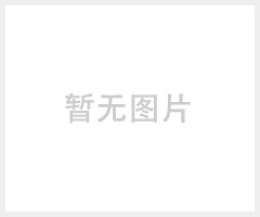 BACHOFEN-巴赫芬，单相电流表（LED）经济型